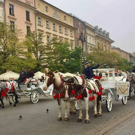 Apartament In Old Town