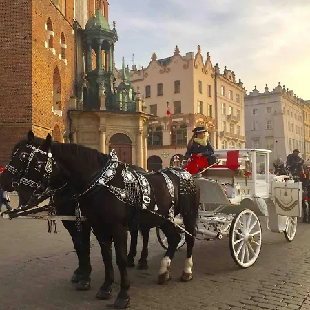 Apartament In Old Town *